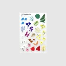 Cover-Natura-Beauty-Transparent-Sticker Plant and floral transparent vinyl stickers